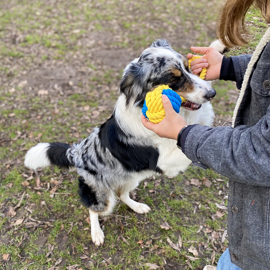 Die Schlümpfe Ball Hundespielzeug Bild 6