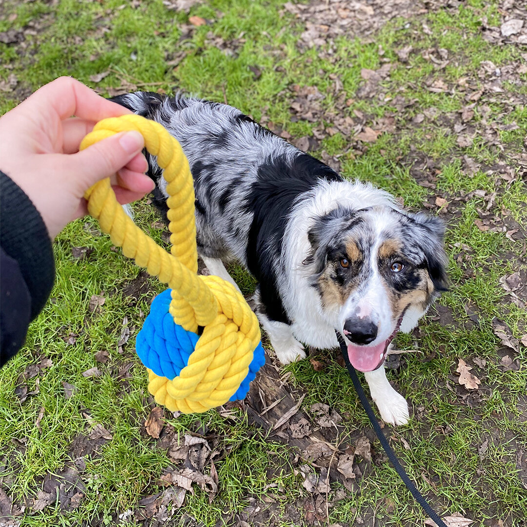 Die Schlümpfe Ball Hundespielzeug Bild 2