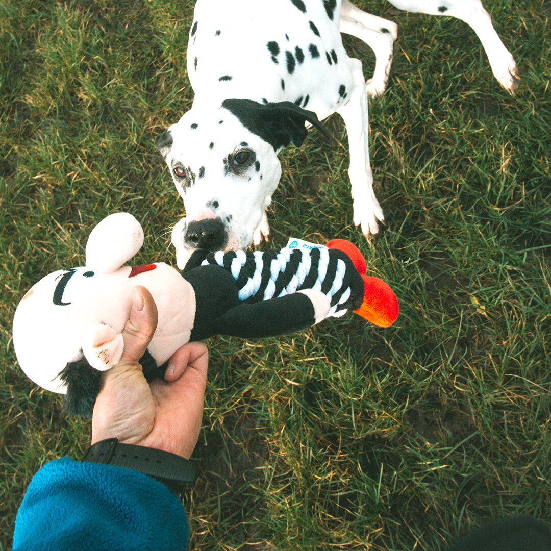 Die Schlümpfe Hundespielzeug Plüsch Bild 3