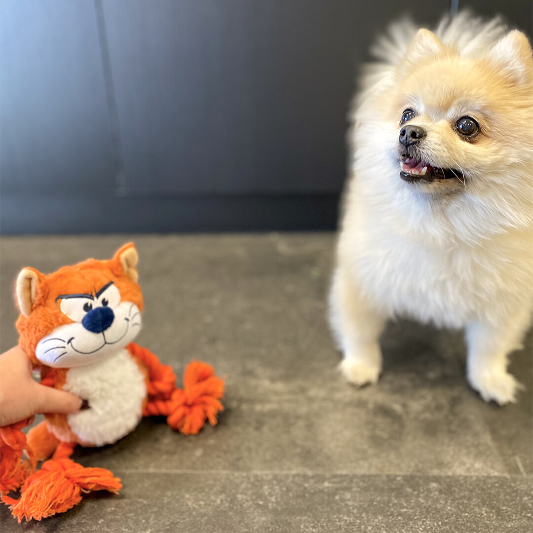 Die Schlümpfe Hundespielzeug Plüsch Bild 5