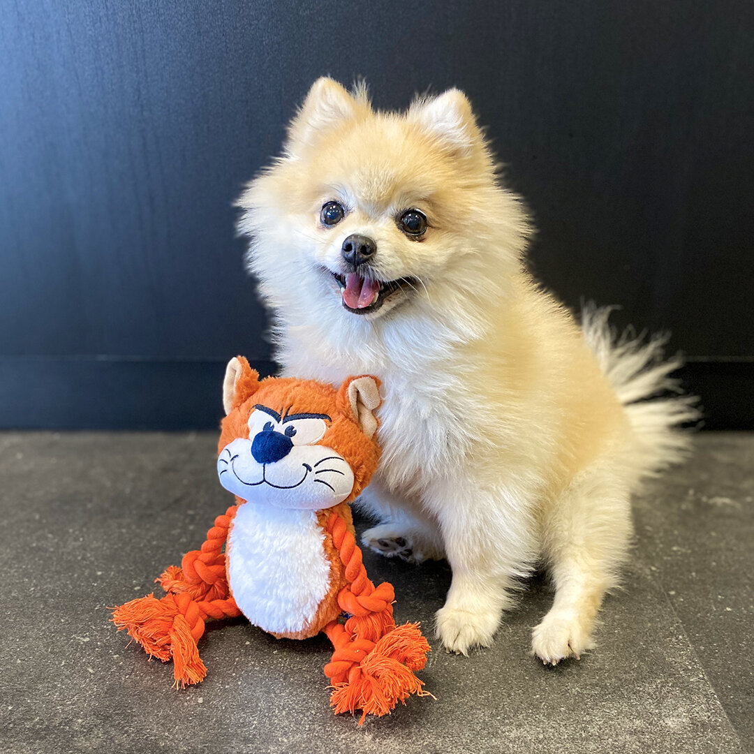 Die Schlümpfe Hundespielzeug Plüsch Bild 2