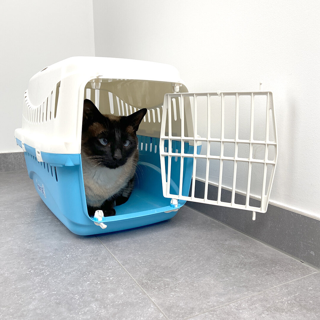 Die Schlümpfe Transportbox Bild 2