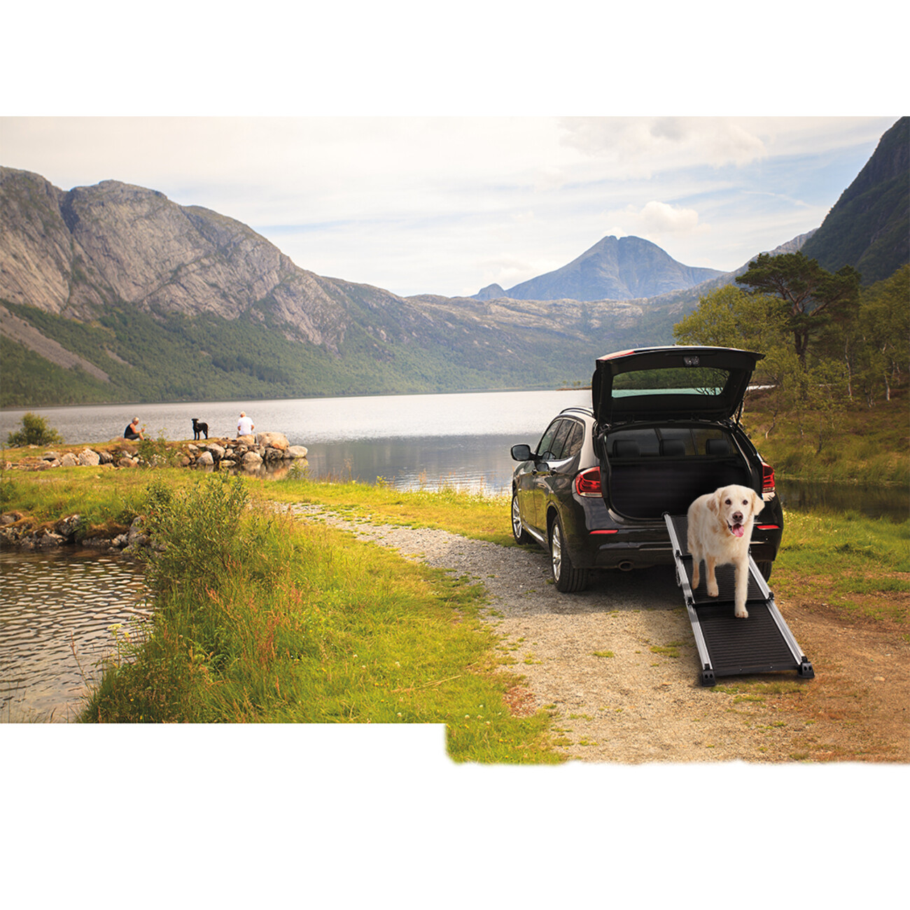 Easy-Step Aluminiumrampe für Hunde Bild 3