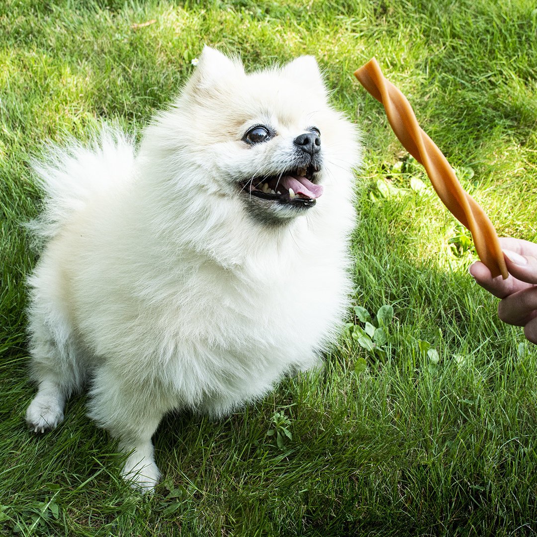 Garden Bites Fruity Dental Swirls Bild 3