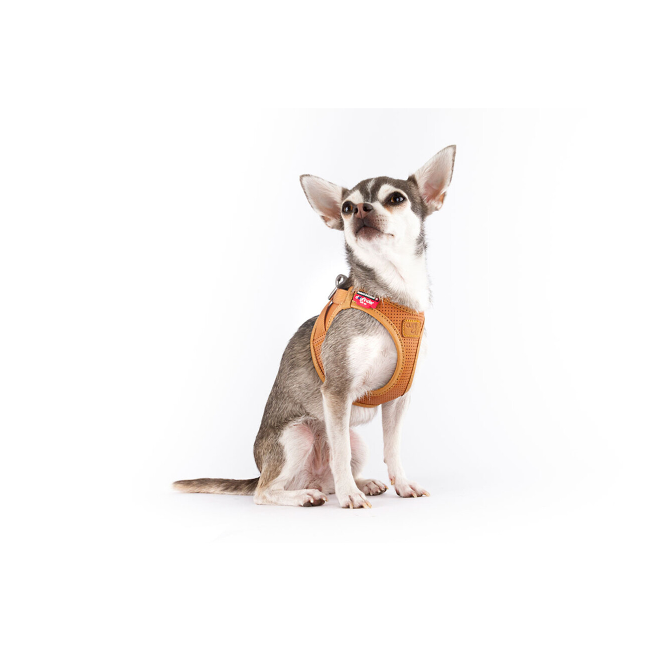 Curli Apple Leather Clasp Vest Geschirr für Hunde Bild 4