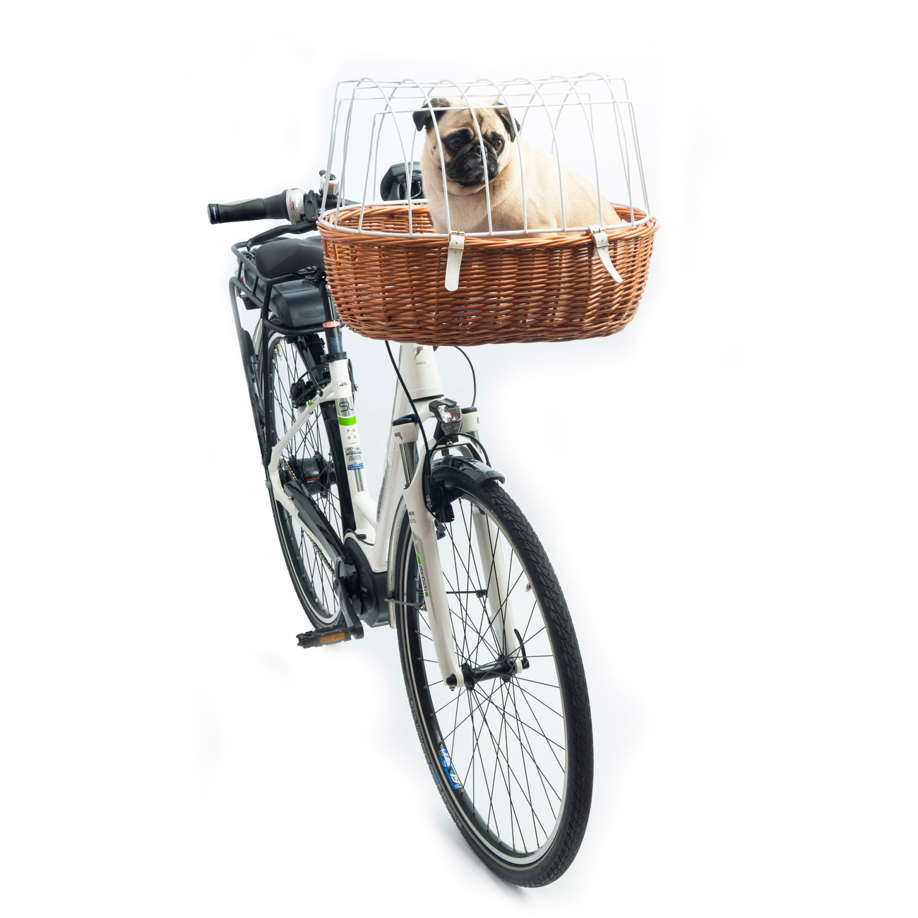 E-Bike Hunde Fahrradkorb Standard vorne Bild 4