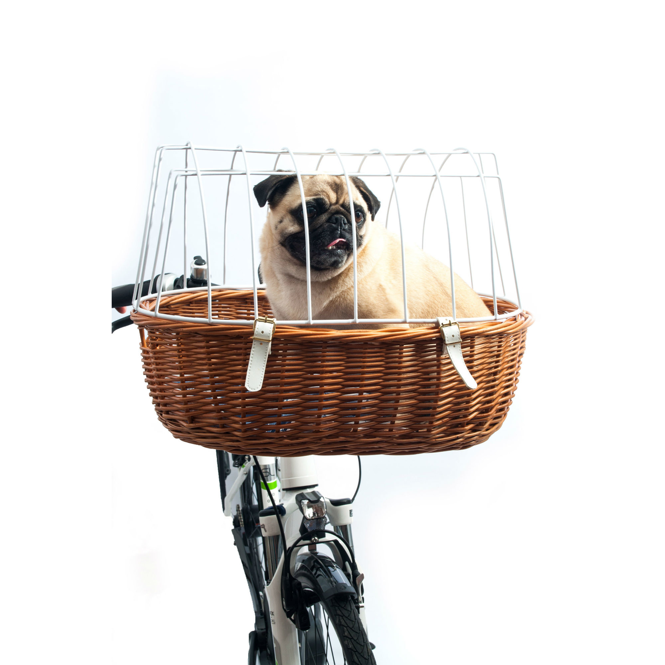 E-Bike Hunde Fahrradkorb Standard vorne Bild 3