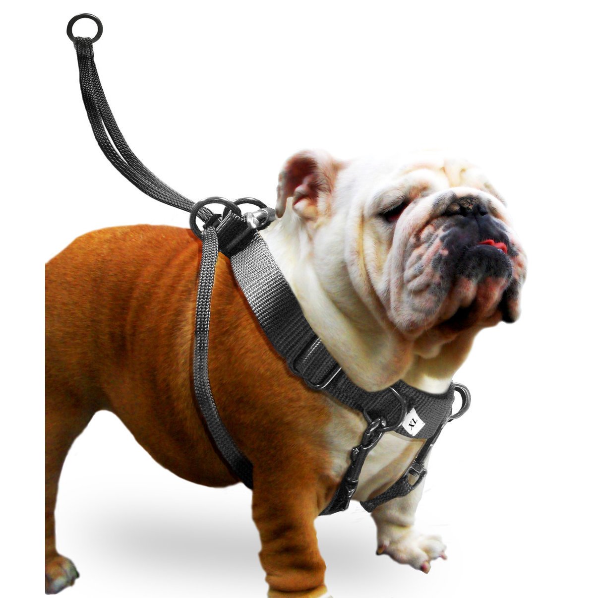 Easy Walker Geschirr bei Fuß Bild 4