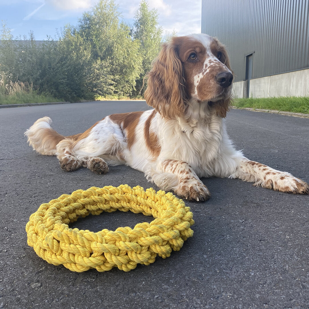 Bite me Da-Chain geflochtener Ring für Hunde Bild 2