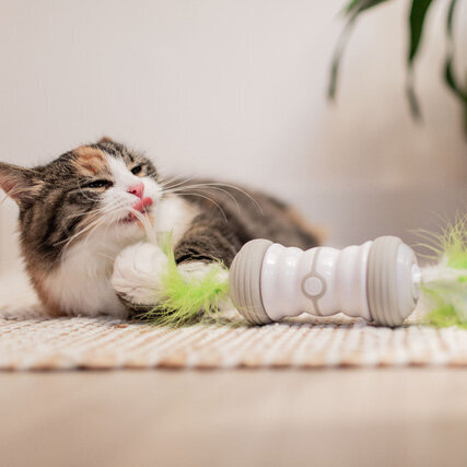 Double Spinner Katzenspielzeug mit USB Bild 4