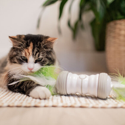 Double Spinner Katzenspielzeug mit USB Bild 2