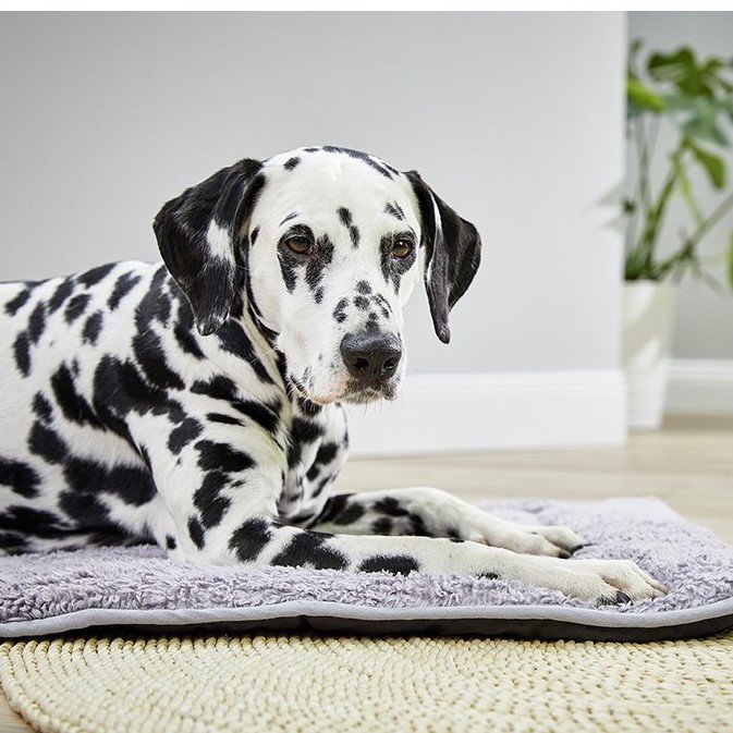 Eco Well Reisebett Bild 2