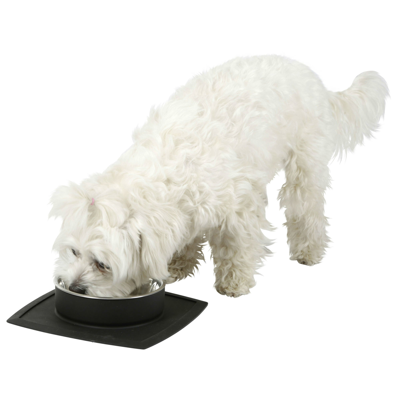 Edelstahlnapf Duo Clever mit Silikonunterlage Bild 4