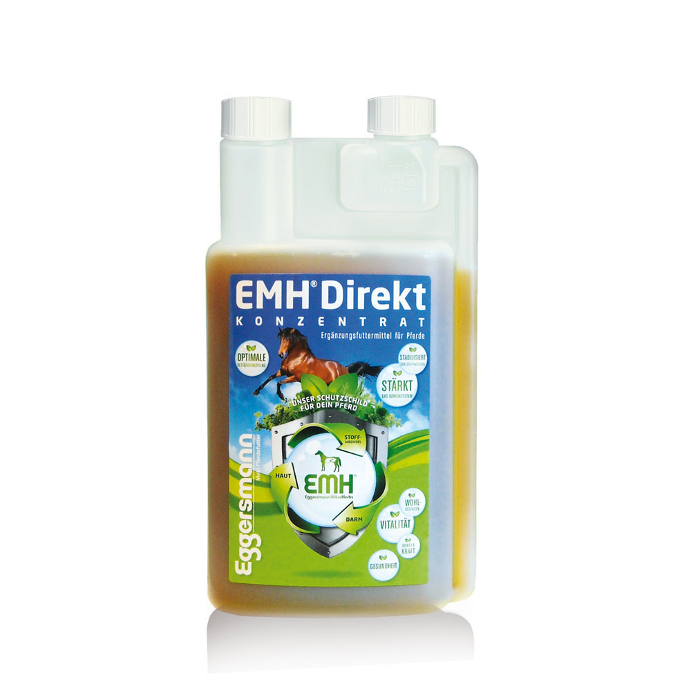 Eggersmann Direkt Wellness Bild 1