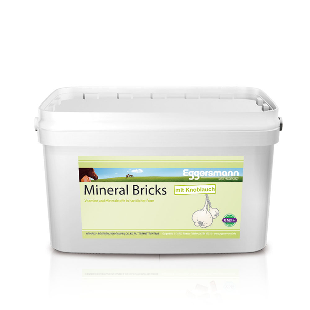 Eggersmann Mineral Bricks Bild 3