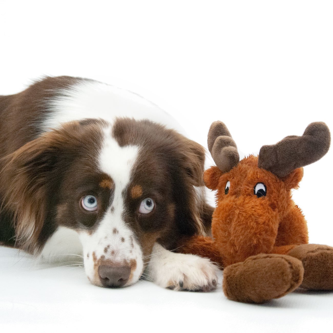 Elch Hundespielzeug aus Plüsch Bild 2
