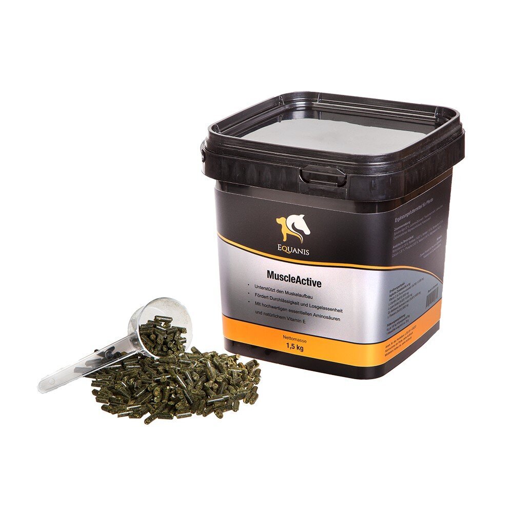 Muscle Active Muskelaufbau für Pferde Bild 2