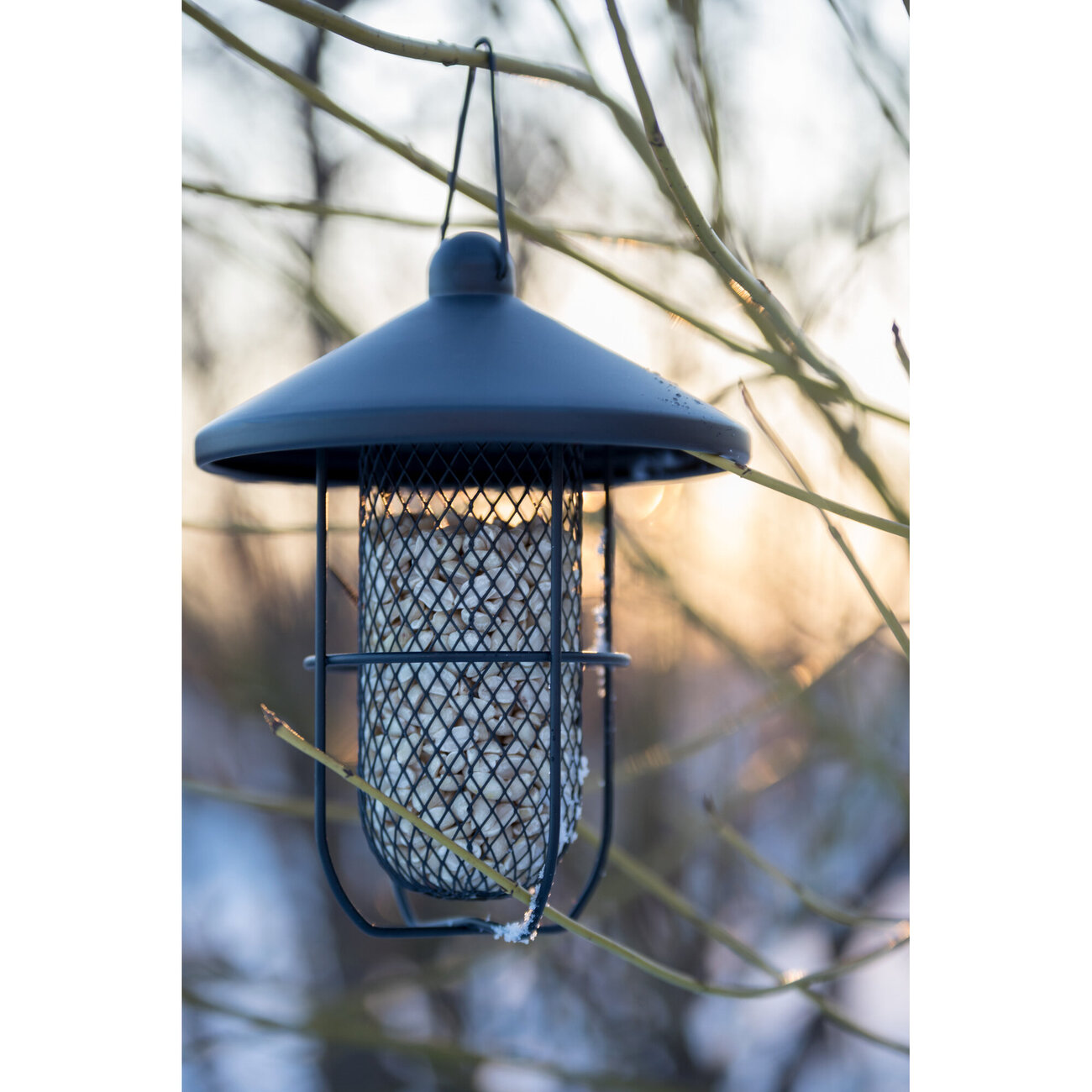 Erdnuss-Futterspender in modernem Design Bild 2