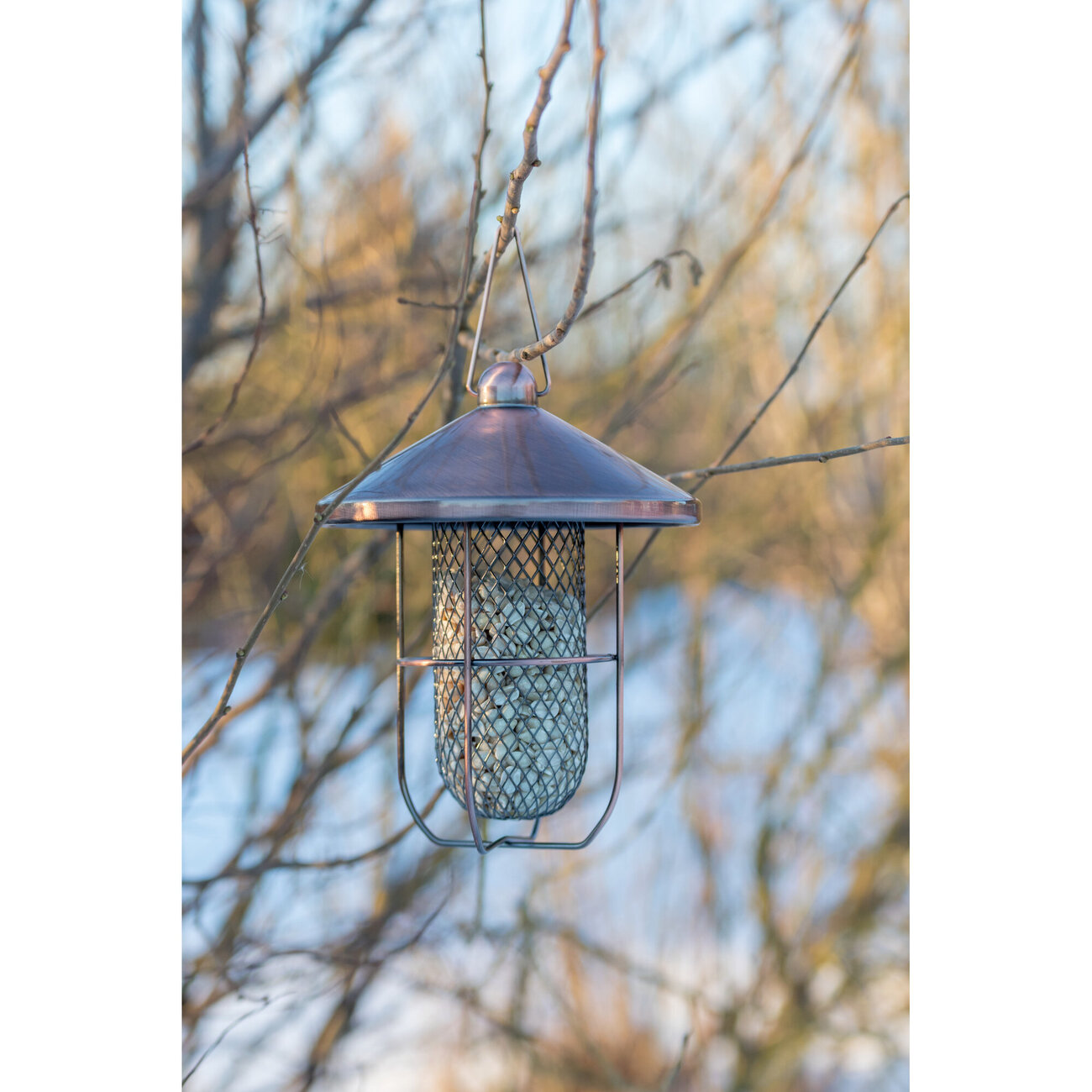 Erdnuss-Futterspender in modernem Design Bild 4