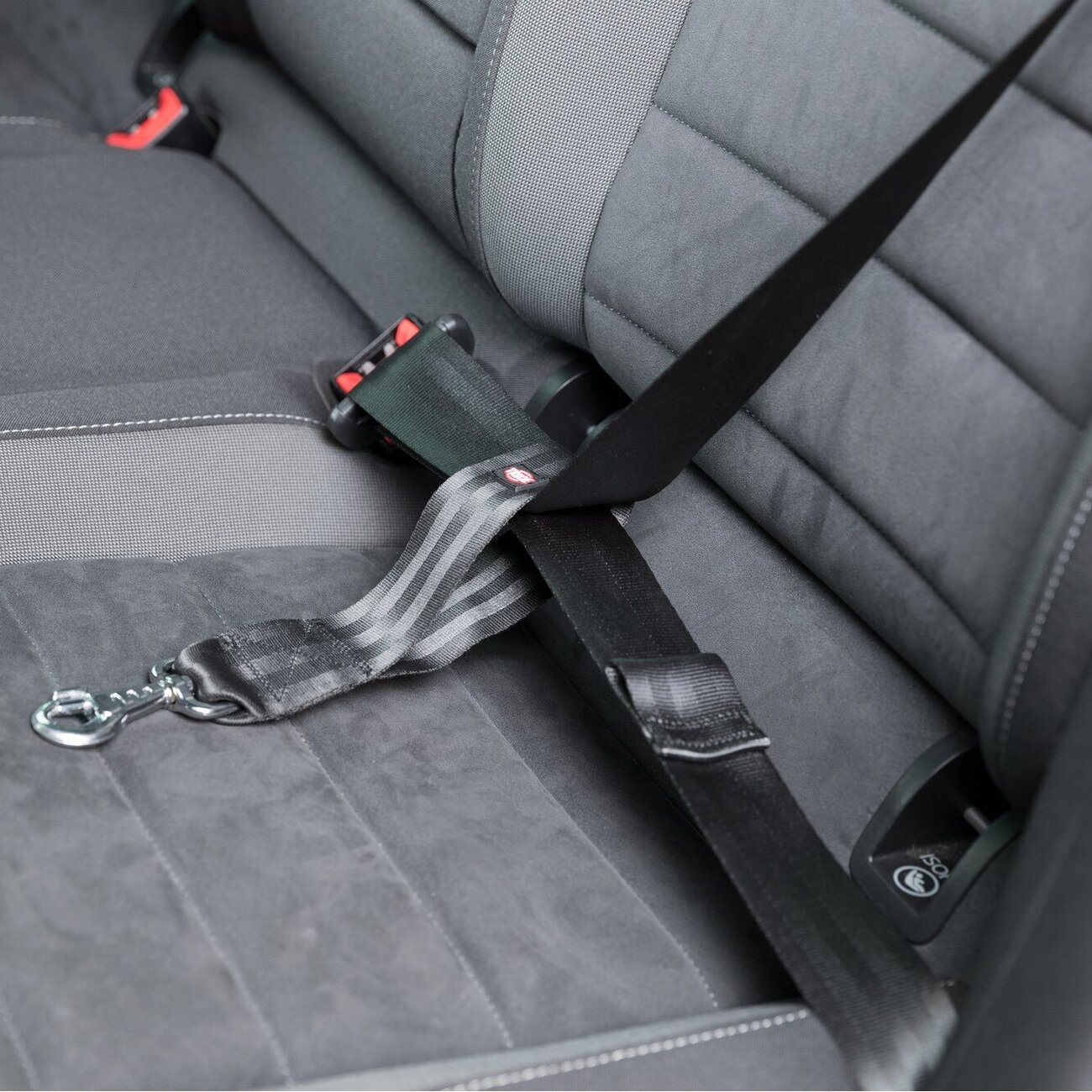 Ersatz-Kurzführer für Auto Hundgeschirr Bild 5