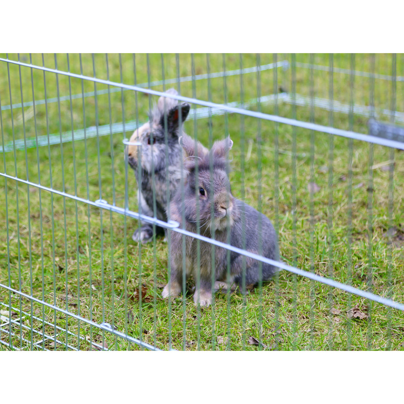 Erweiterungselement für Kerbl Freilaufgehege 82825 Bild 7