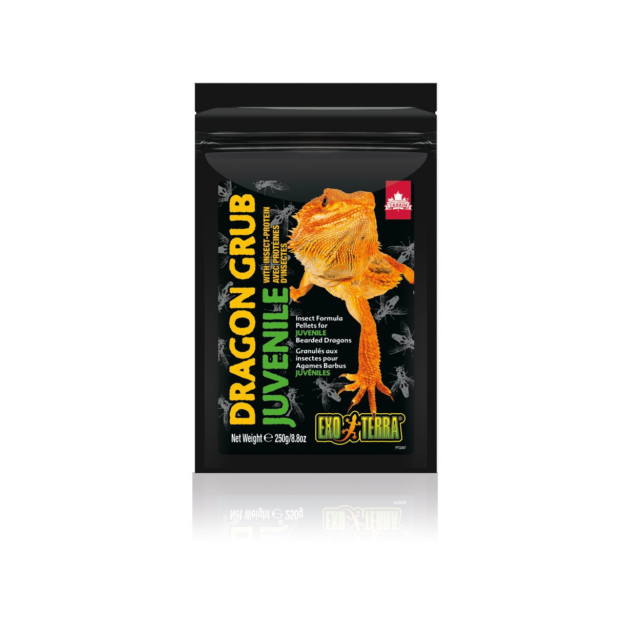 Exo Terra Dragon Grub für Bartagamen Bild 3