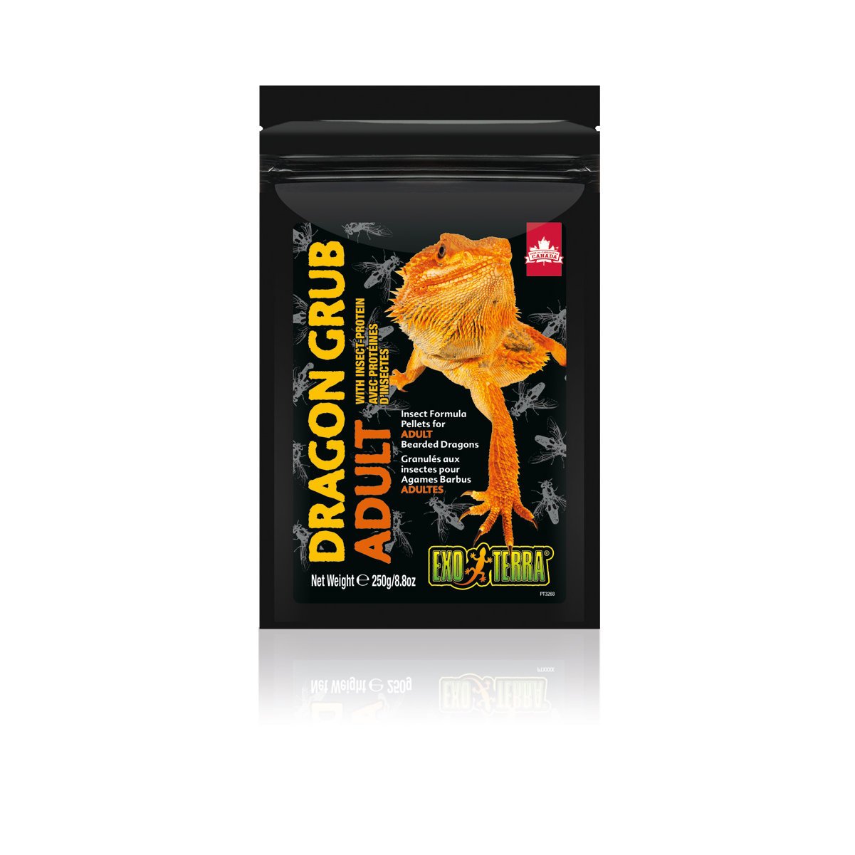 Exo Terra Dragon Grub für Bartagamen Bild 4