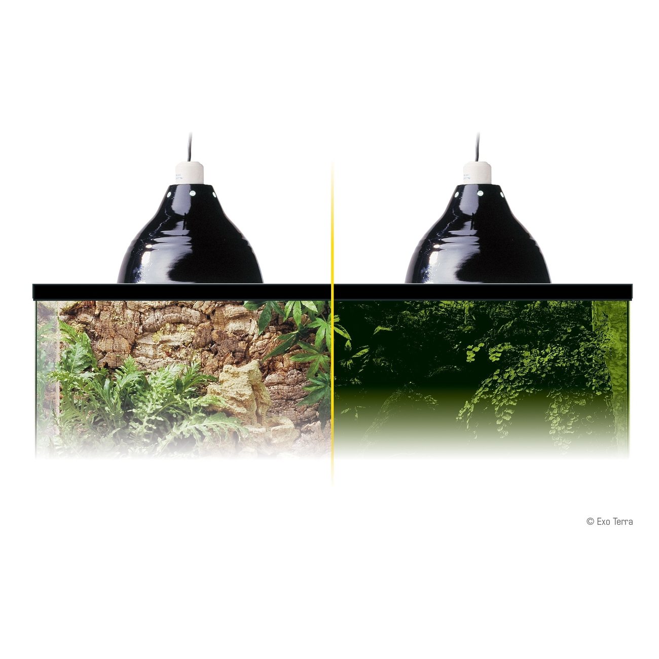 Exo Terra - Halogen Glow Light Bild 4