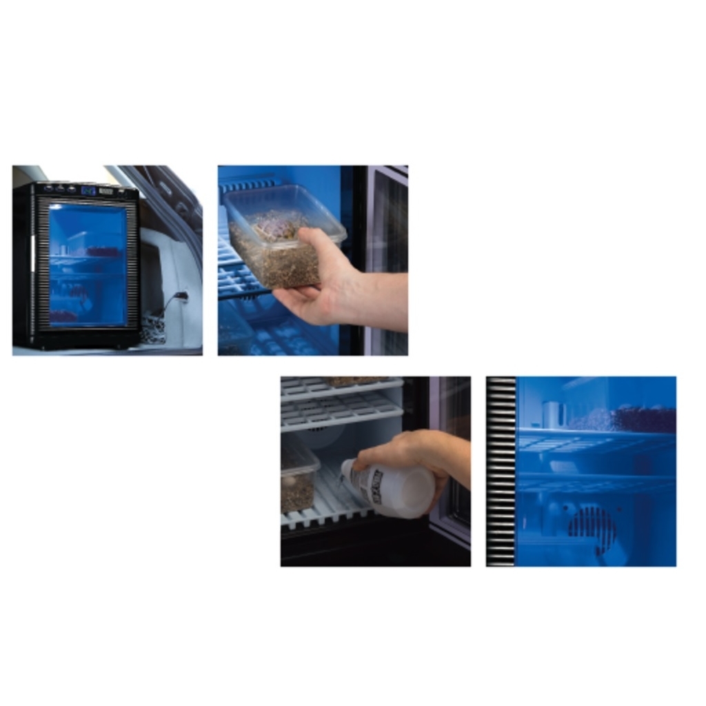 Exo Terra - Inkubator für Reptilien-Eier Bild 3