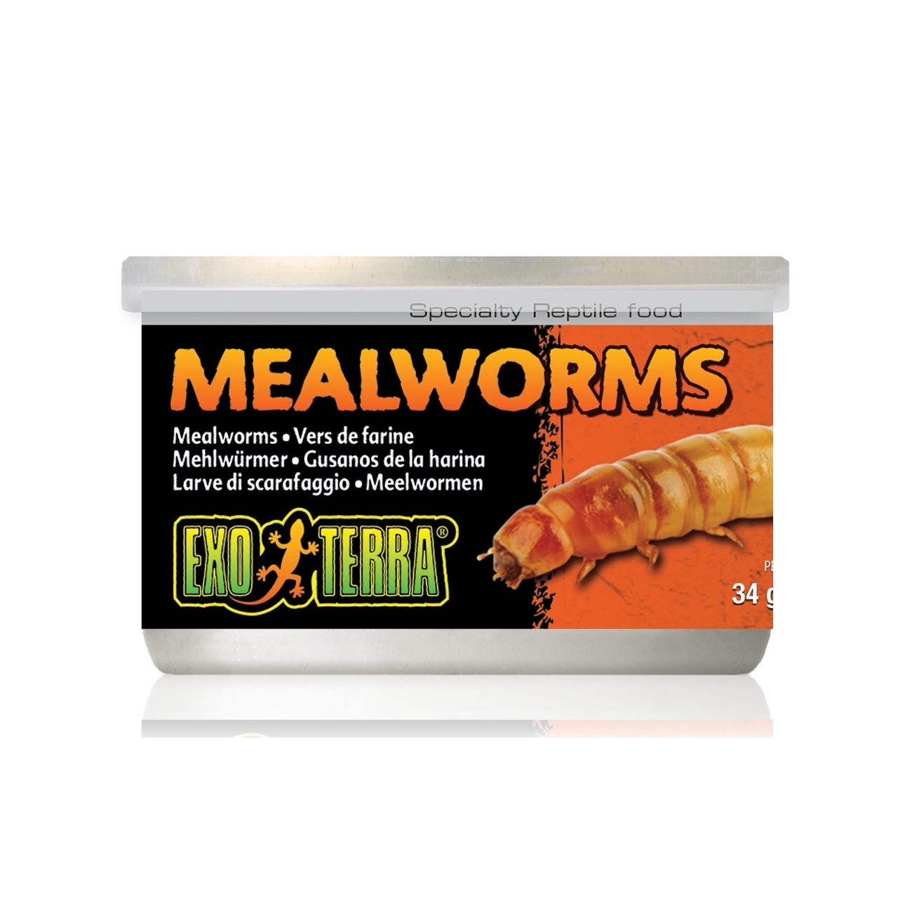 Exo Terra -  Insekten in Dosen Bild 3