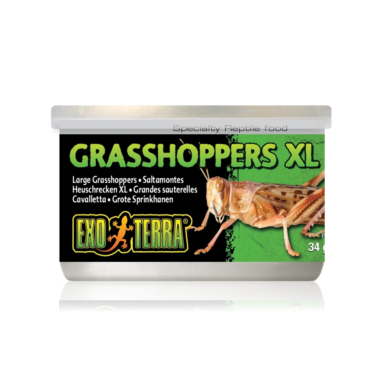 Exo Terra -  Insekten in Dosen Bild 2