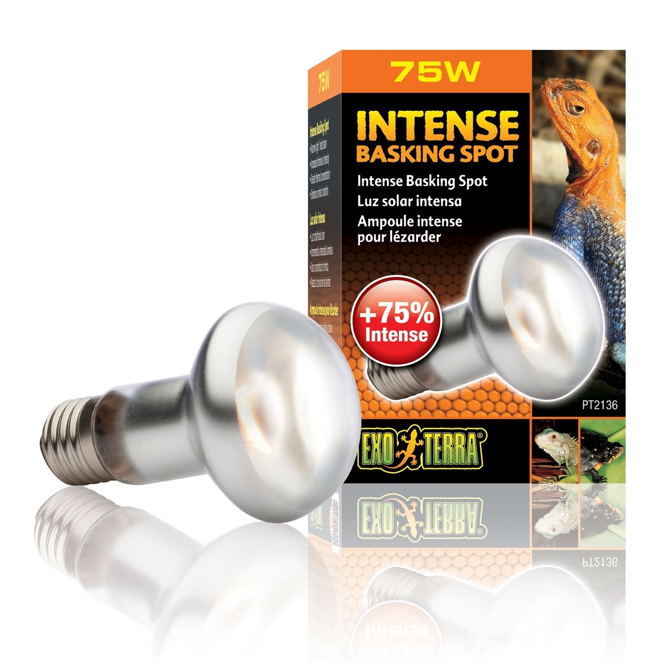 Exo Terra - Intense Wärmespotlampe Bild 3