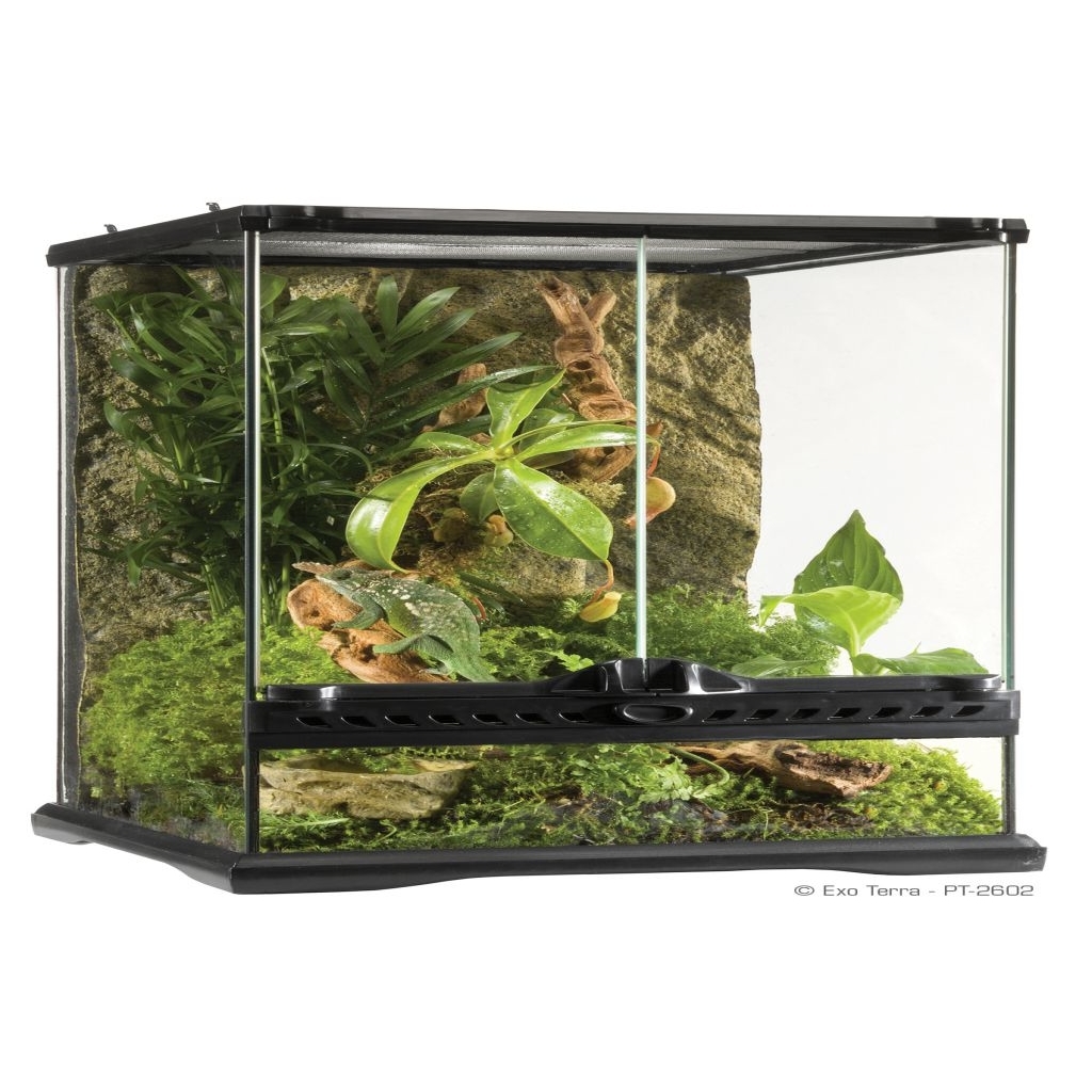Exo Terra mini - innovatives Reptilien-Heim Bild 4