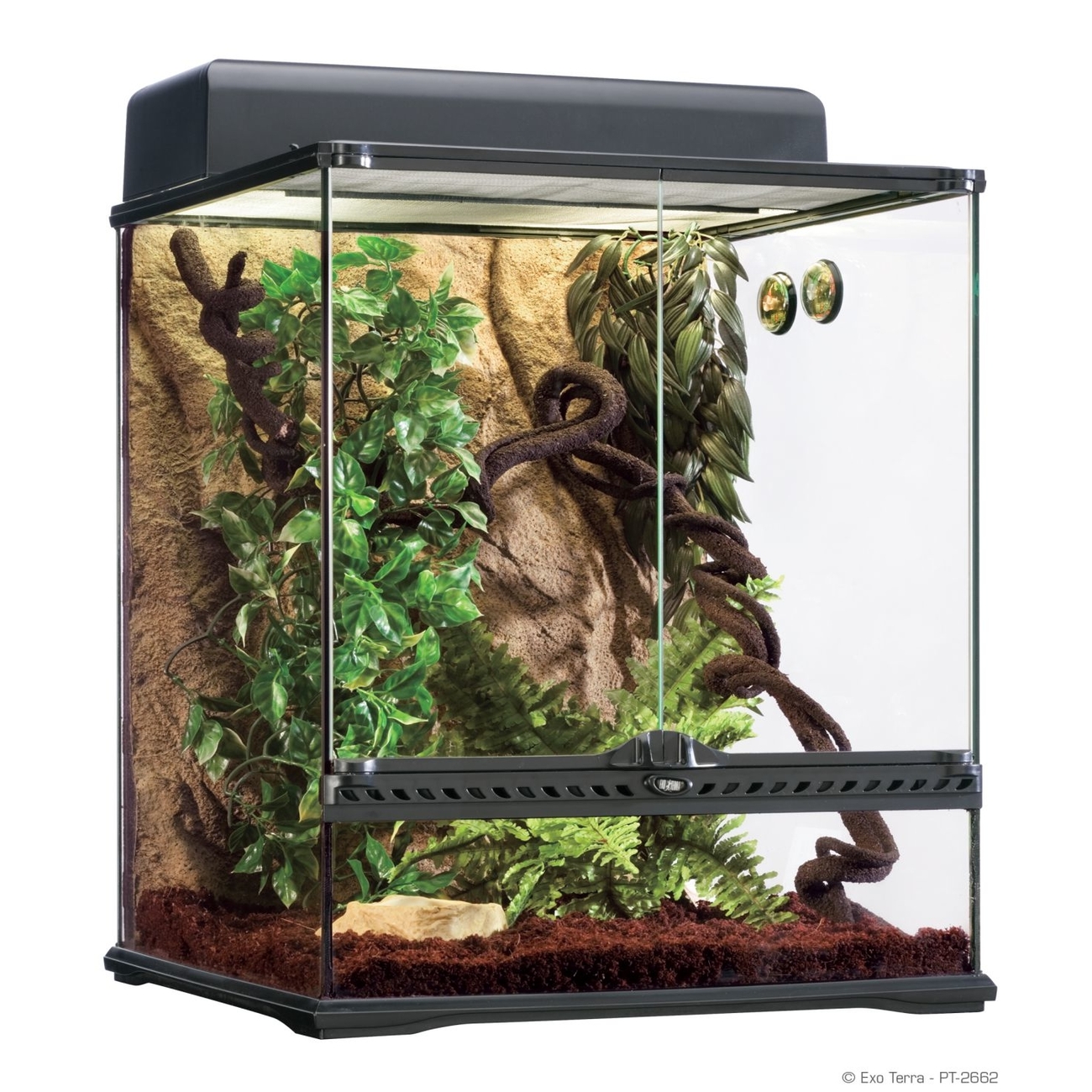 Exo Terra -  Rainforest Habitat Kit Bild 4