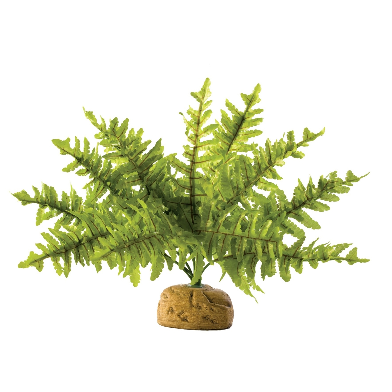 Exo Terra -  Regenwald Bodenpflanzen Bild 4