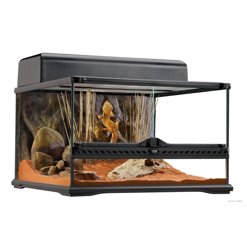 Exo Terra small - innovatives Reptilien-Heim Bild 2