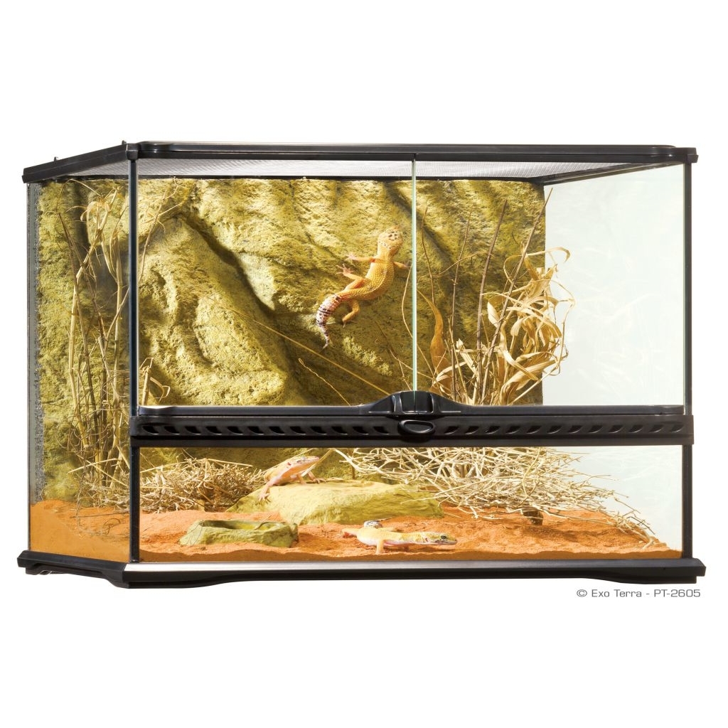Exo Terra small - innovatives Reptilien-Heim Bild 4