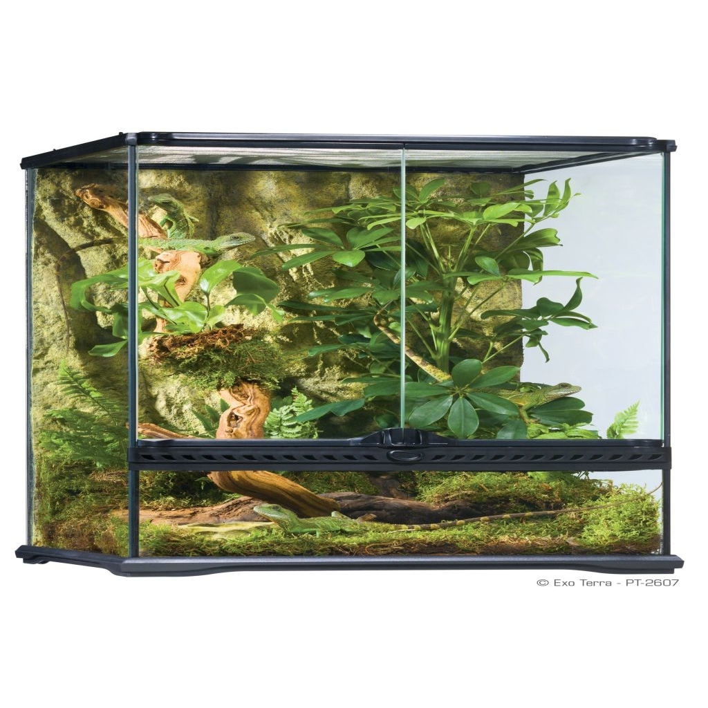 Exo Terra small - innovatives Reptilien-Heim Bild 6