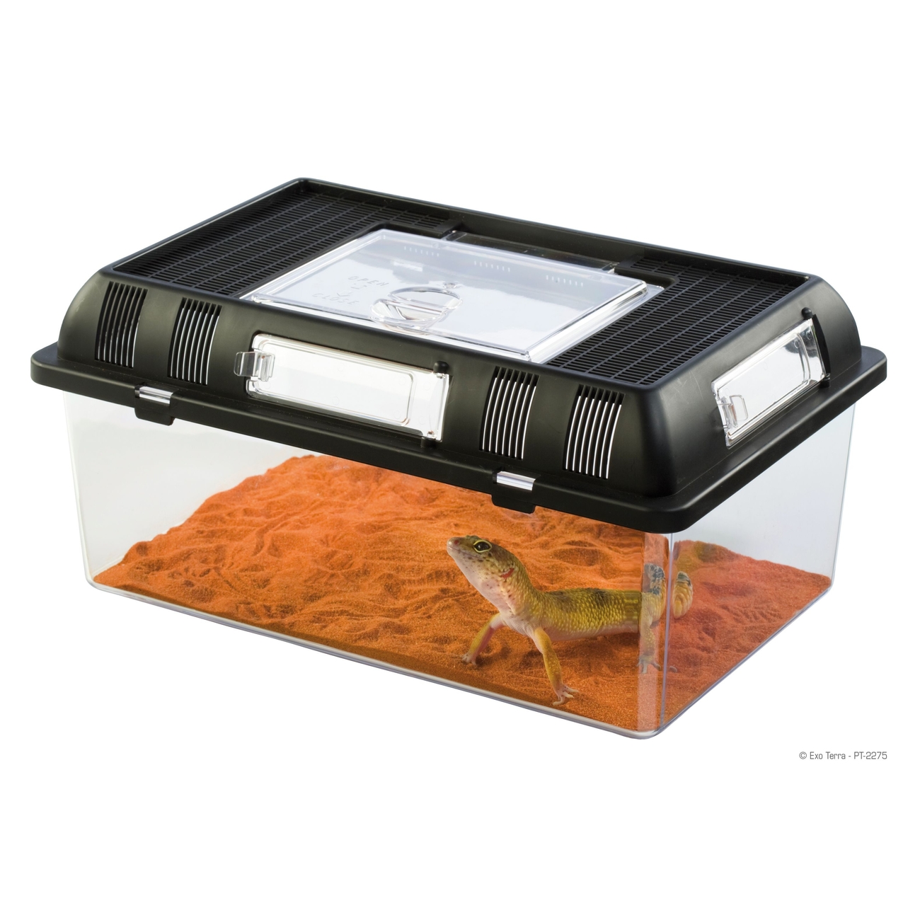 Exo Terra - stapelbares Terrarium Bild 4