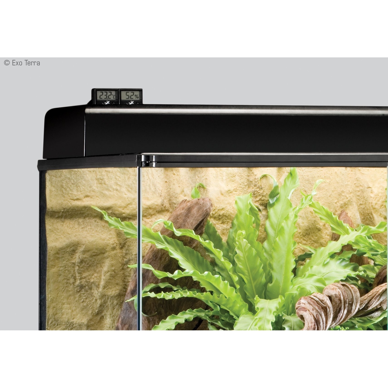 Exo Terra - Thermometer und Hygrometer (2in1), digital Bild 3