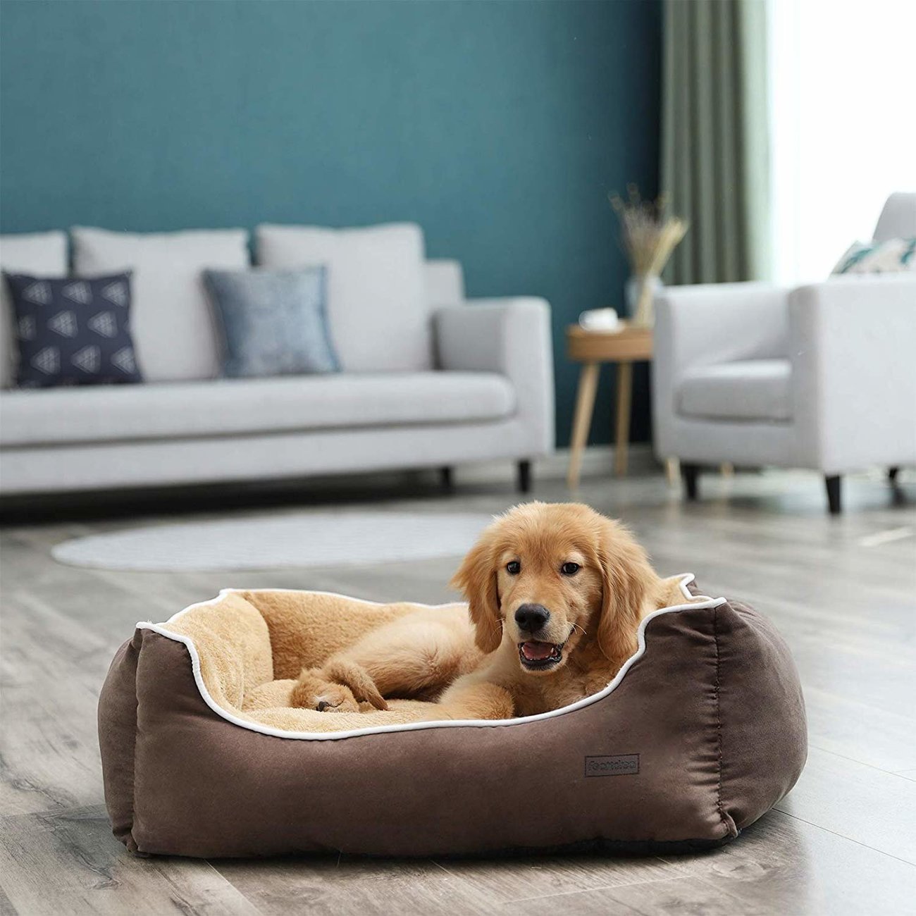 FEANDREA by SONGMICS Hundebett mit Liegefläche aus Plüsch Bild 2