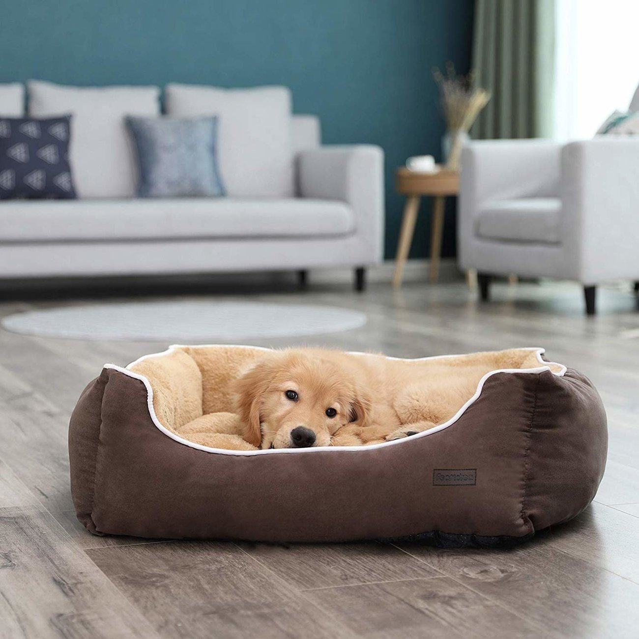 FEANDREA by SONGMICS Hundebett mit Liegefläche aus Plüsch Bild 8