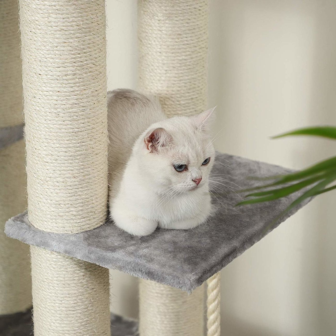 FEANDREA Katzen Kratzbaum mit Aussichtsplattform Bild 8