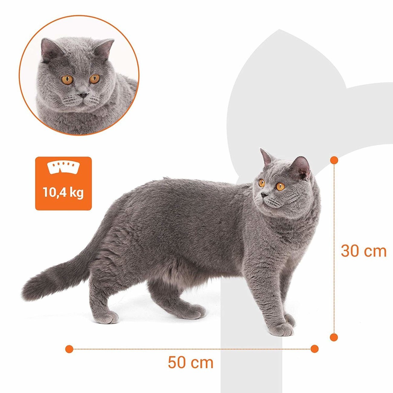 FEANDREA Kratzbaum groß, Katzenbaum XL Bild 9