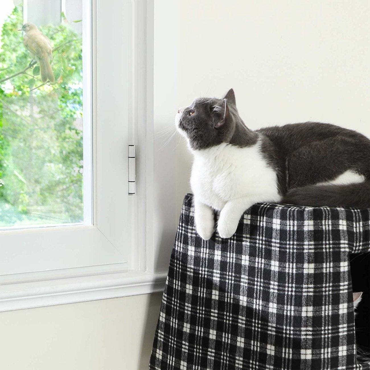 FEANDREA Kratzbaum, Katzenbaum, schwarz-weiß kariert Bild 6