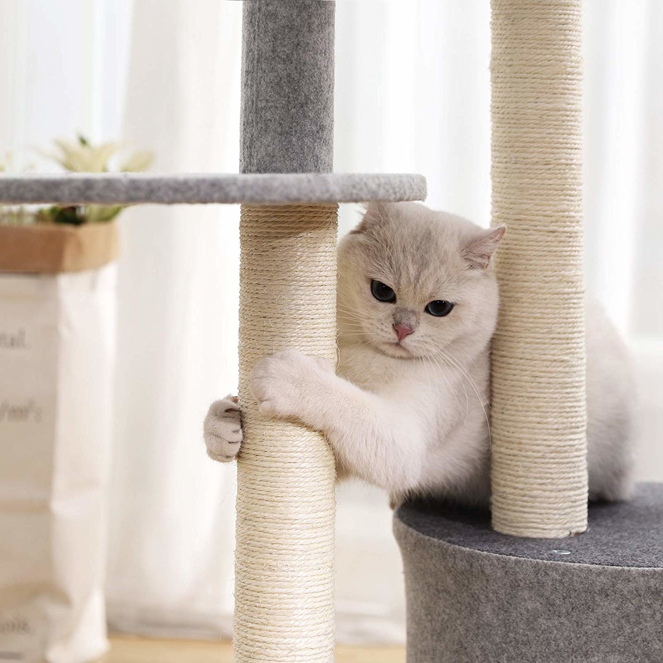 FEANDREA Kratzbaum mit Sisal Stämmen und Filzoberfläche Bild 12