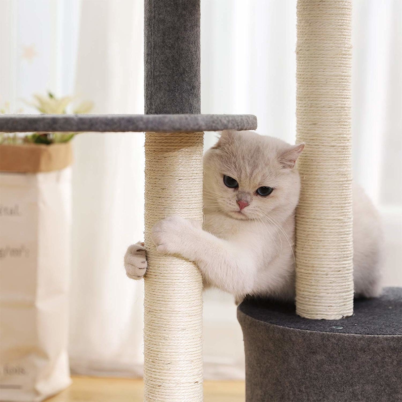 FEANDREA Kratzbaum mit Sisal Stämmen und Filzoberfläche Bild 17