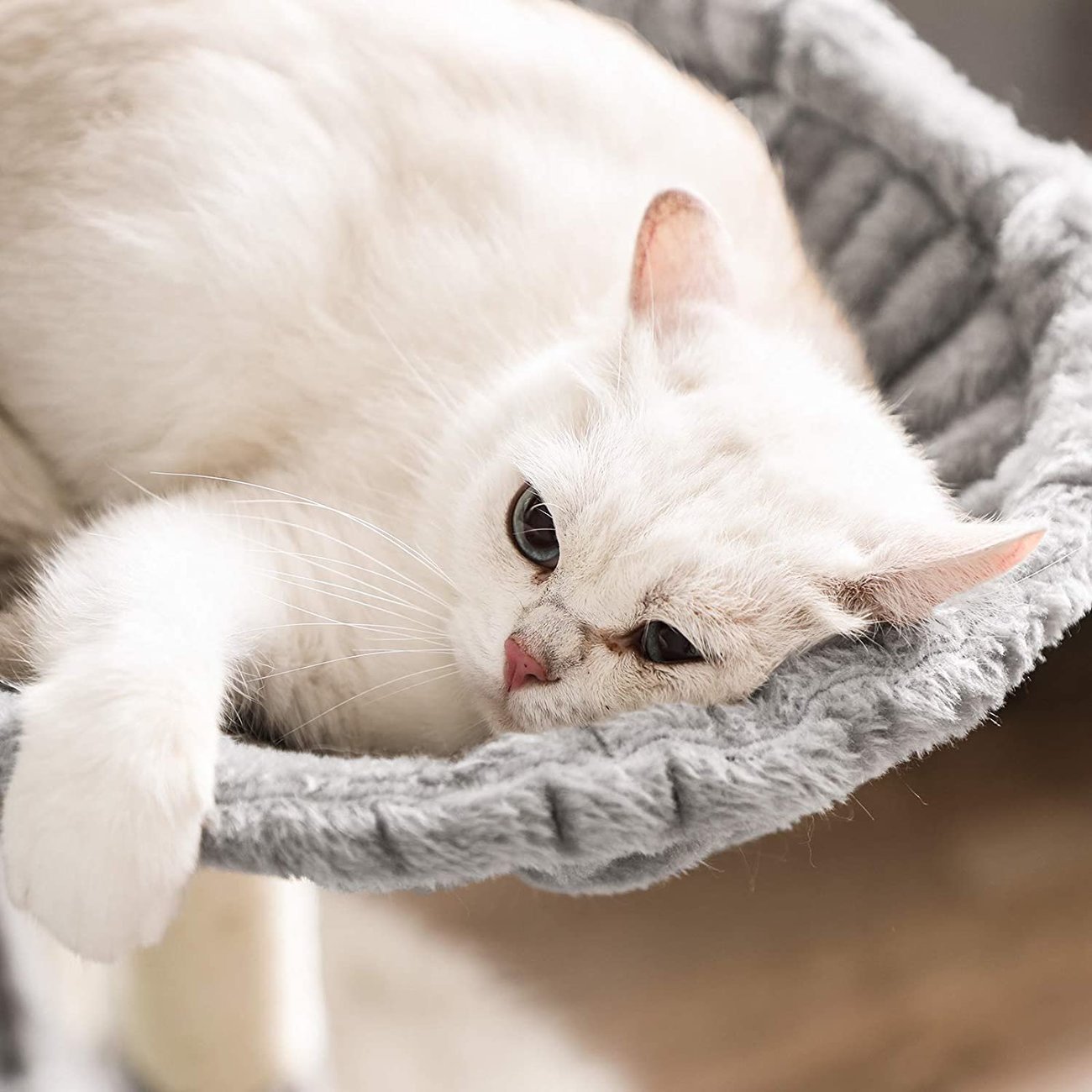 FEANDREA Kratzbaum XXL Cat Condo Bild 9