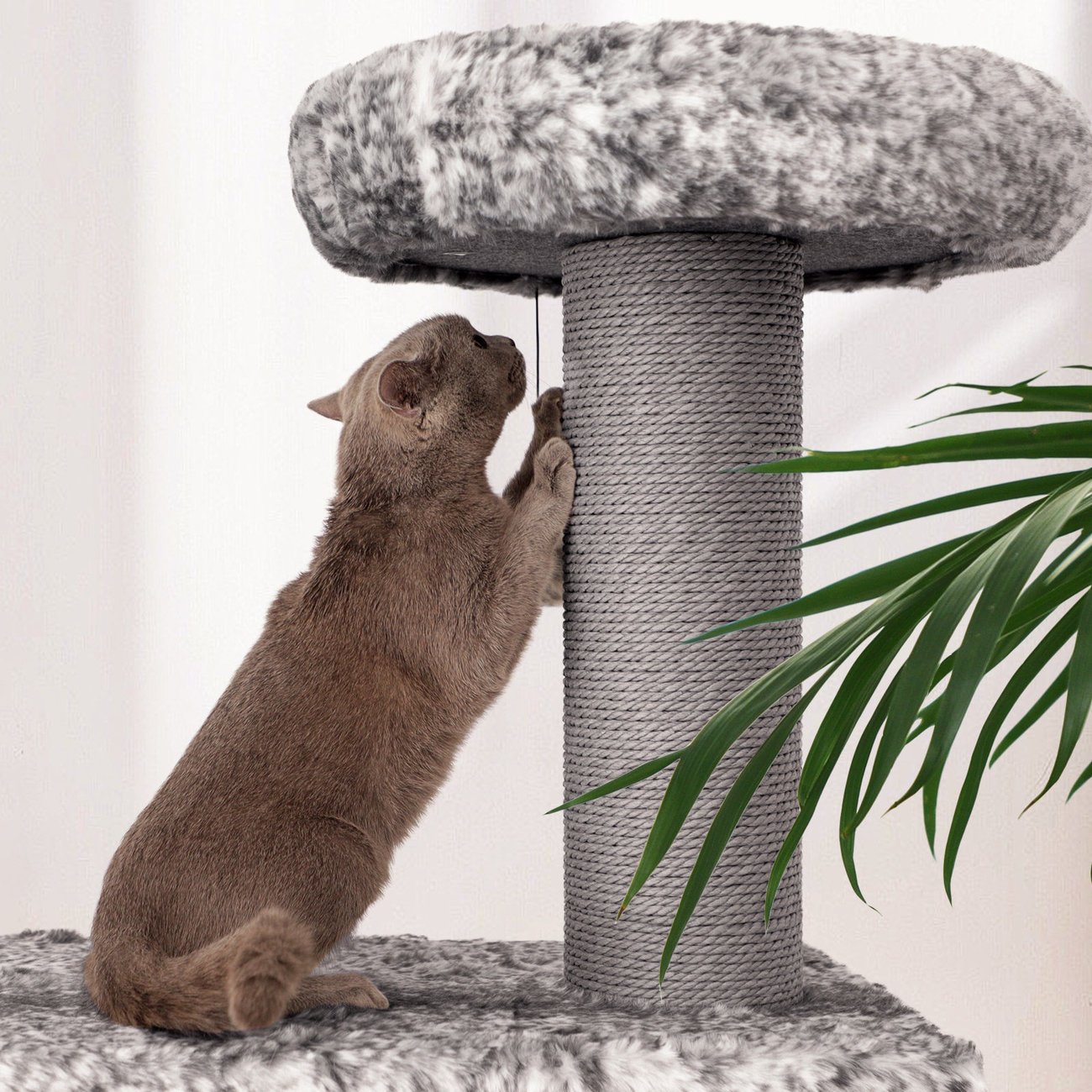 FEANDREA Luxus-Kratzbaum XL Plüsch III Bild 7