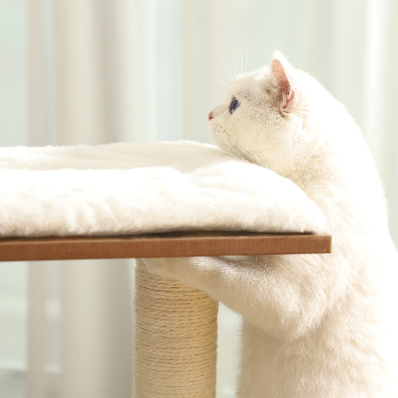 Feandrea Retro Color Kratzbaum Bild 8